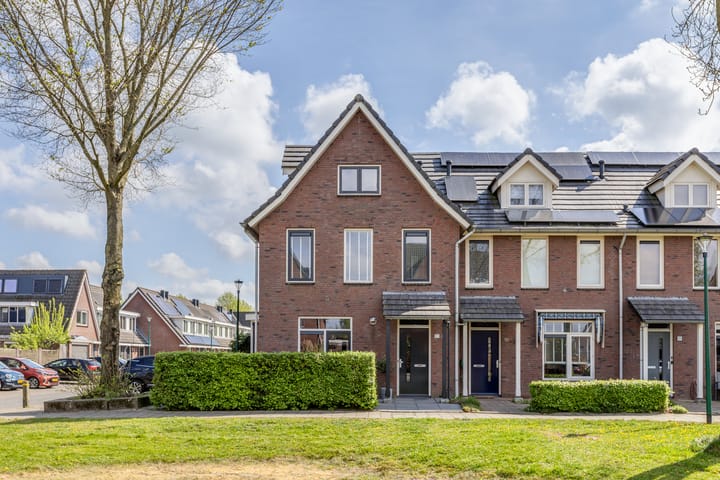 Bekijk foto van Kamgras 93