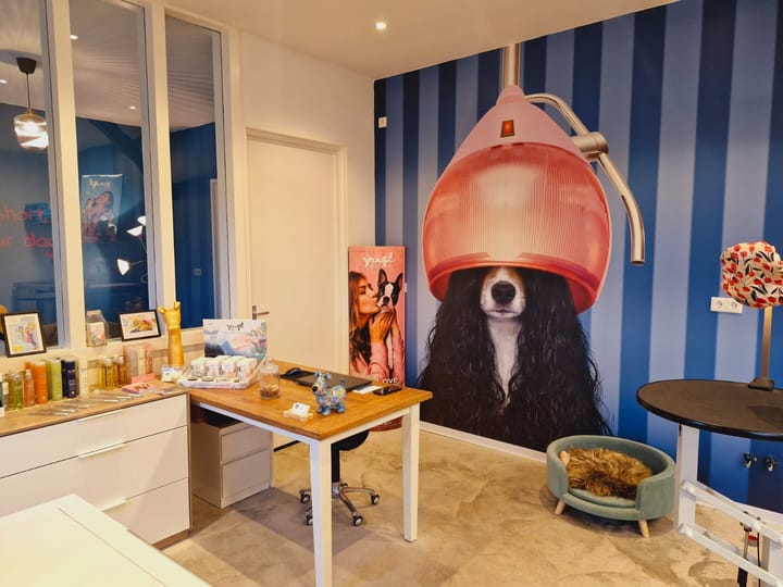 Foto 51 van Drie Lindekensweg 6