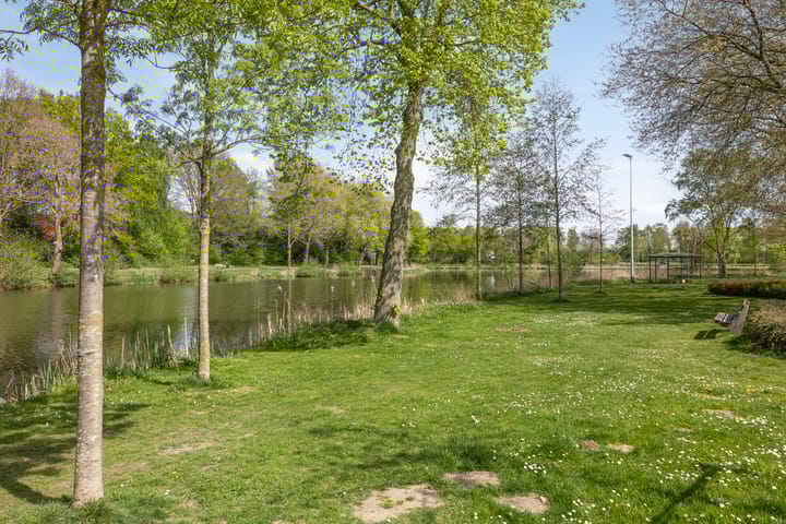 Foto 29 van Noorderlaan 82