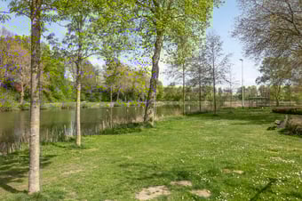 Noorderlaan 82 tertiary image
