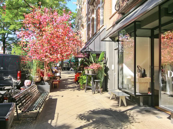 Foto 48 van Van Eeghenstraat 13-H