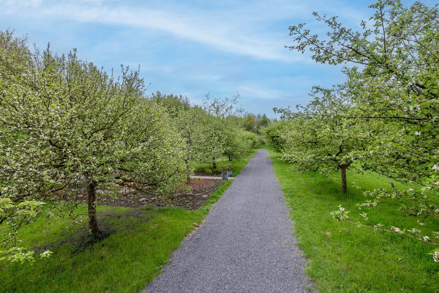 Foto 9 van Tiny houses Dalem