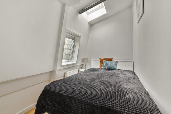 Photo 17 of Sarphatipark 47-4