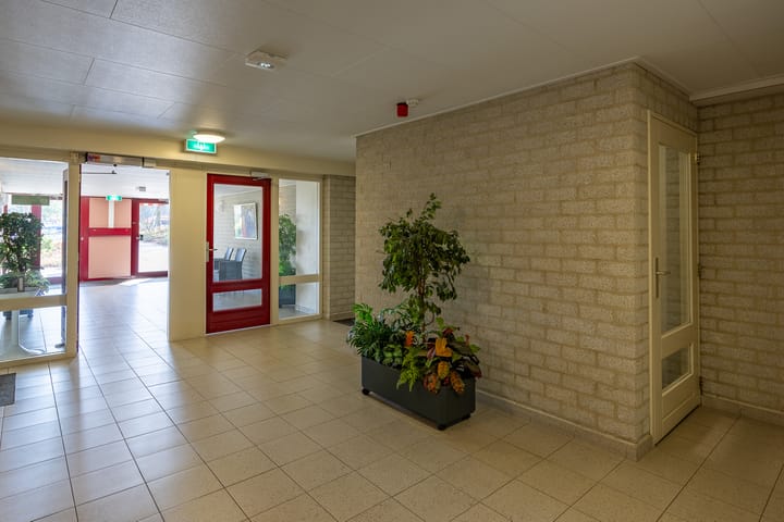 Photo 7 of Alfridahof 47