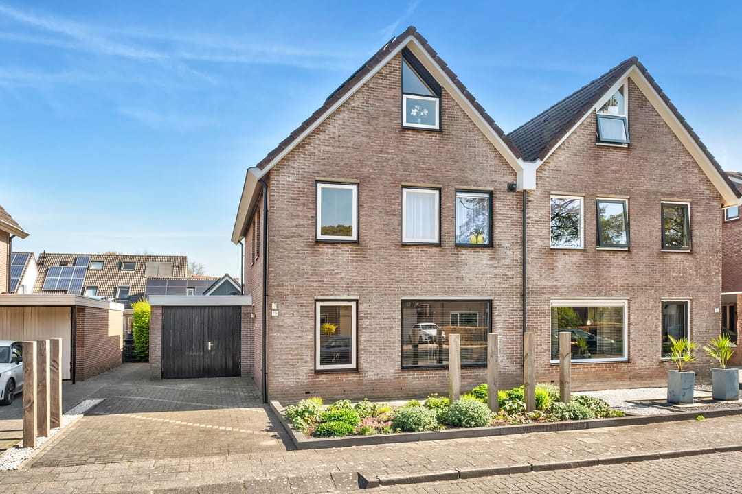 Foto 1 van De Koningsvaren 119