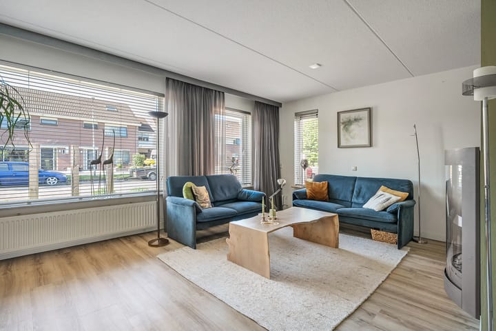 Foto 6 van De Koningsvaren 119