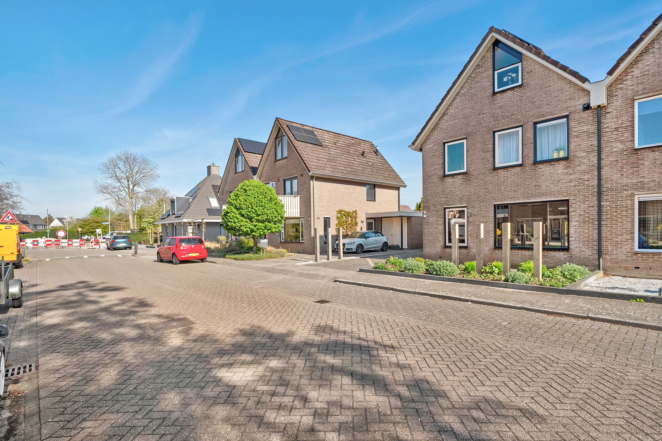 Foto 3 van De Koningsvaren 119