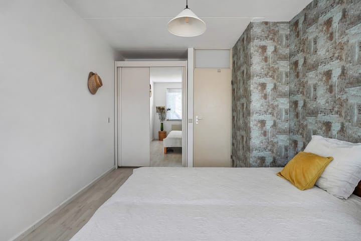 Foto 22 van De Koningsvaren 119