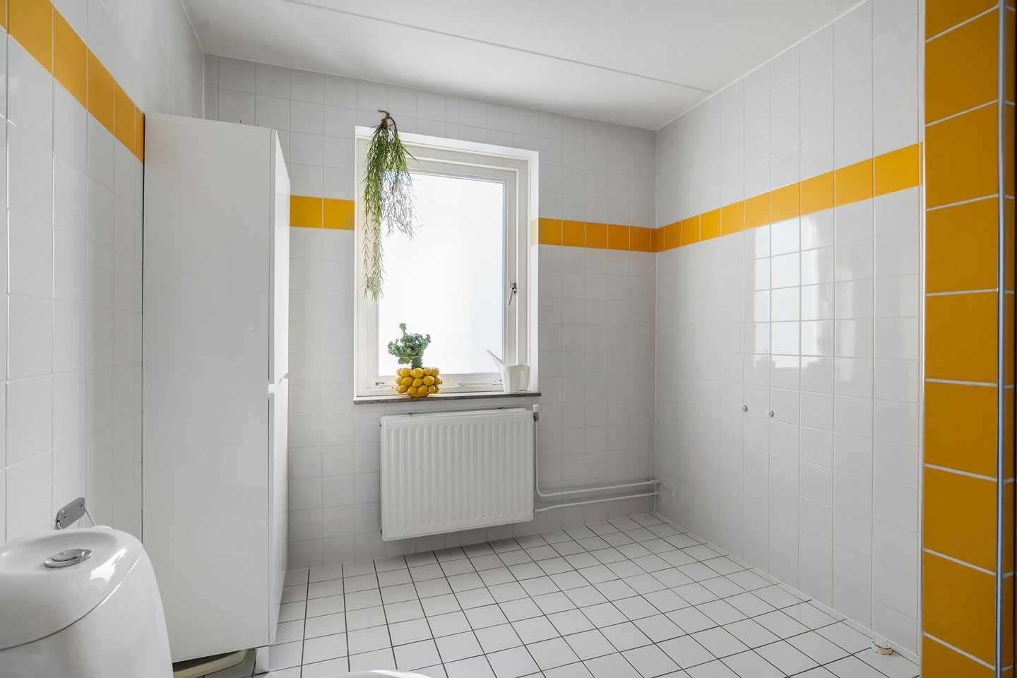 Foto 25 van De Koningsvaren 119