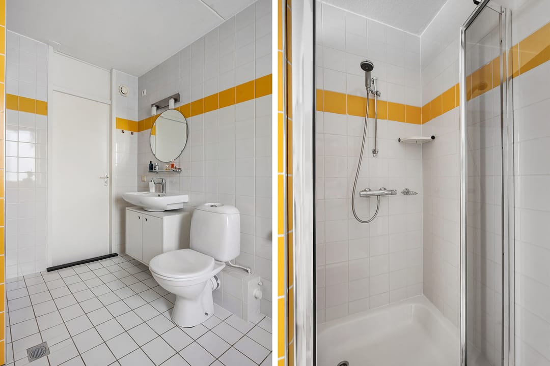 Foto 26 van De Koningsvaren 119