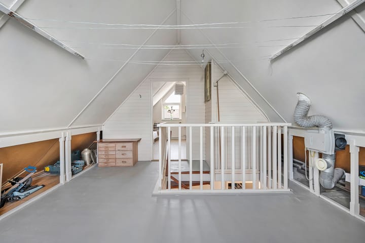 Foto 27 van De Koningsvaren 119