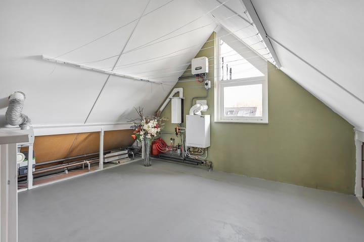 Foto 28 van De Koningsvaren 119