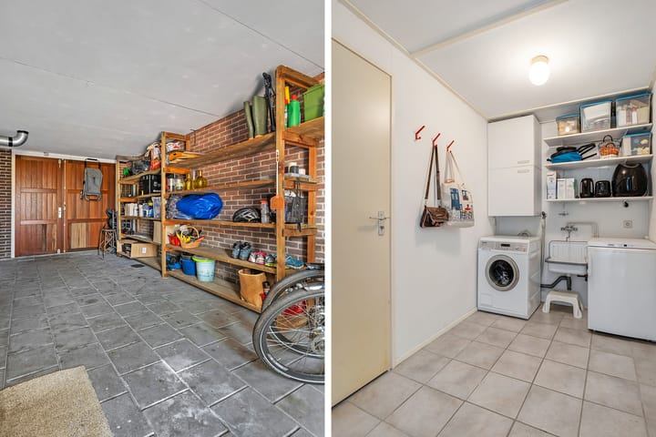 Foto 31 van De Koningsvaren 119