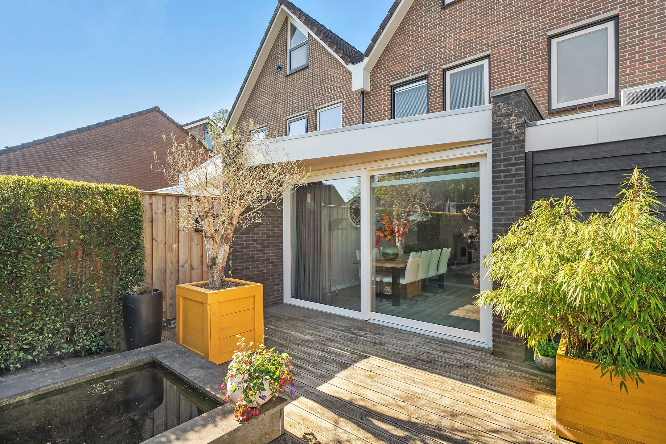 Foto 33 van De Koningsvaren 119