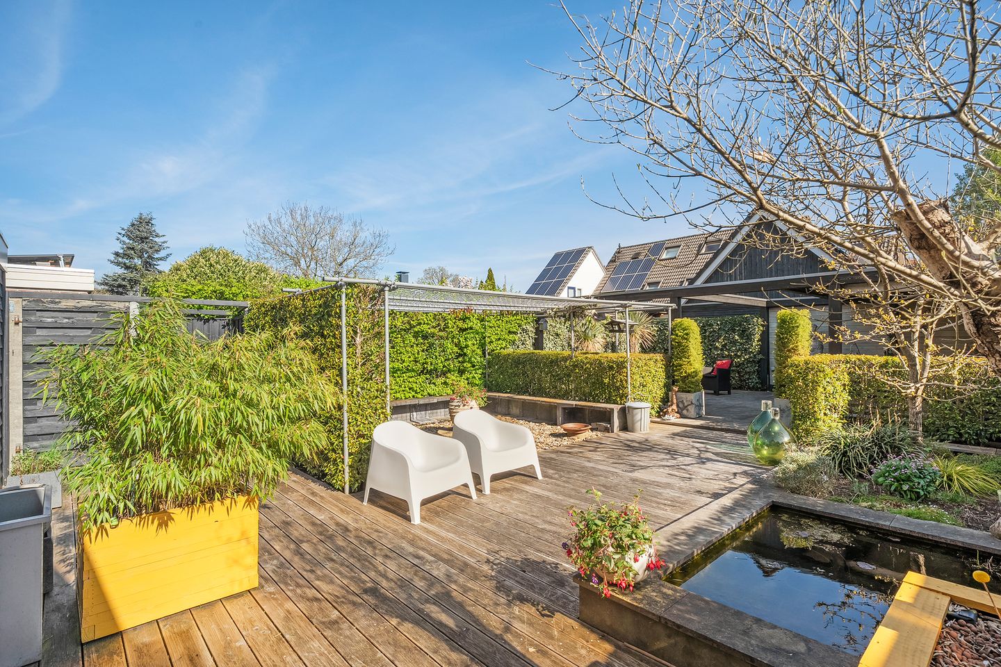 Foto 34 van De Koningsvaren 119