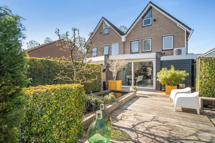 Foto 37 van De Koningsvaren 119