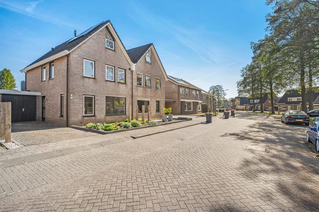 Foto 43 van De Koningsvaren 119