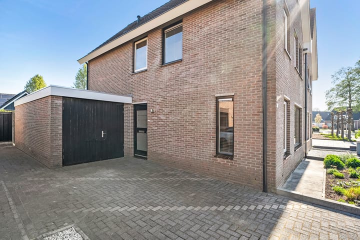 Foto 44 van De Koningsvaren 119