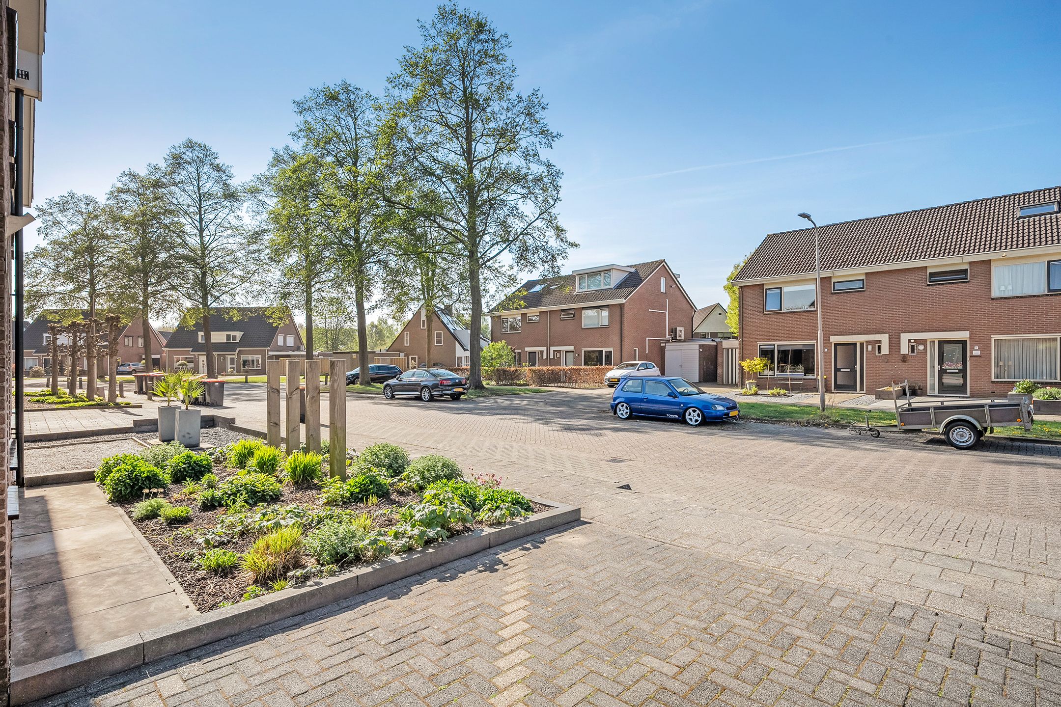 Foto 45 van De Koningsvaren 119