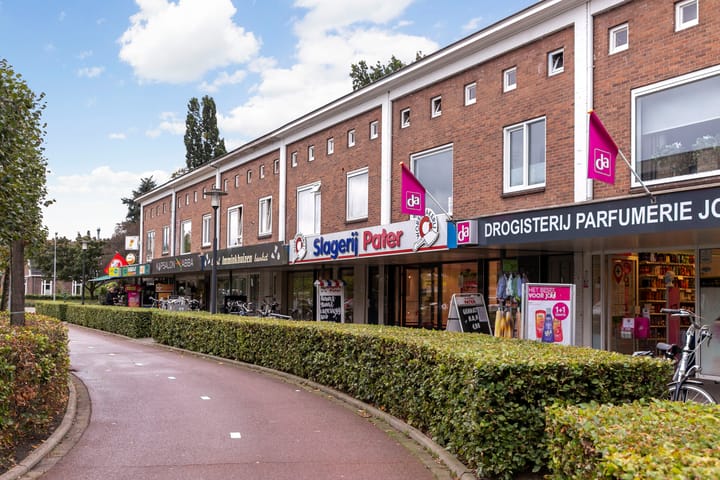 Foto 41 van Buizerdlaan 11-1