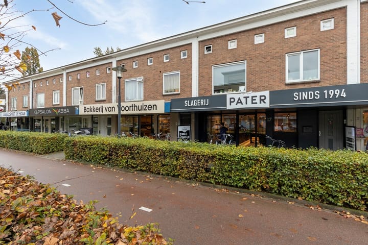 Foto 45 van Buizerdlaan 11-1