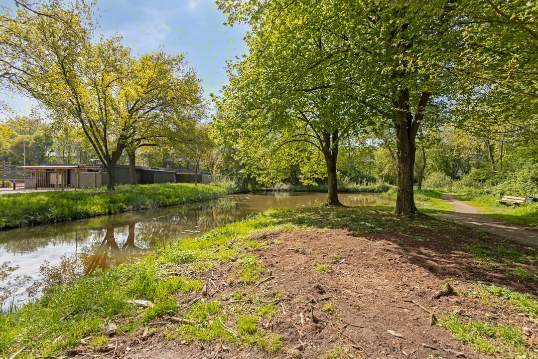 Photo 28 of Boomstede 606