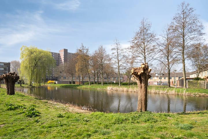 Foto 38 van Vincent van Goghlaan 81