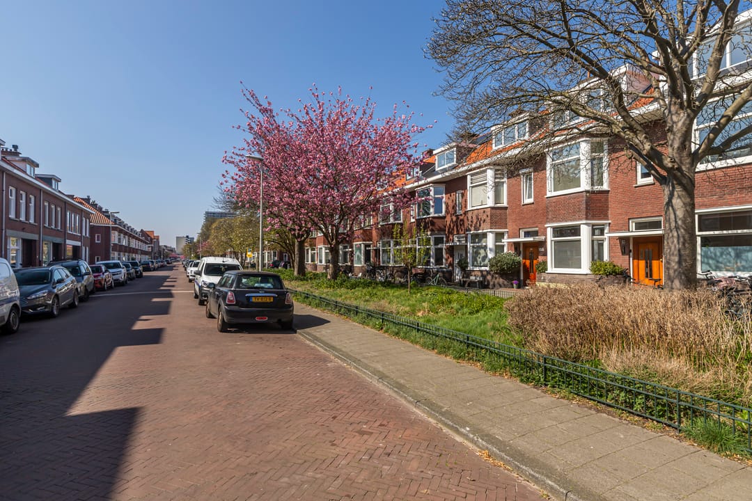 Photo 43 of Tomatenstraat 155