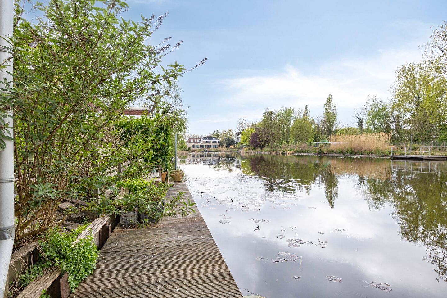 Foto 20 van Schielaan 27