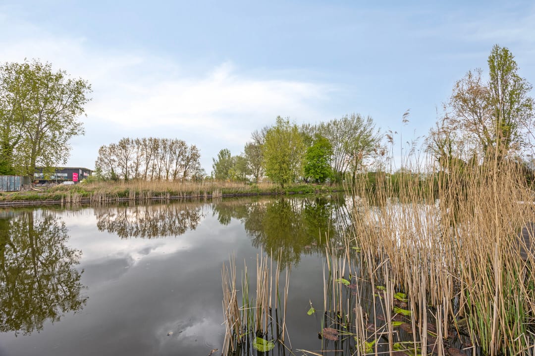 Foto 22 van Schielaan 27