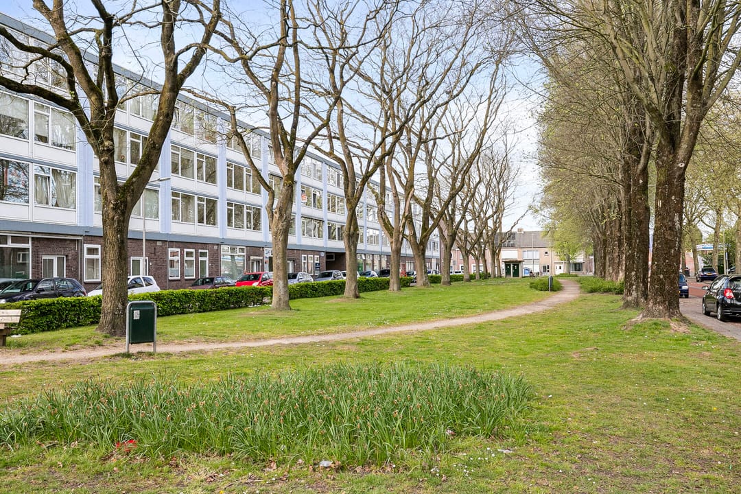 Foto 2 van Trouwlaan 287