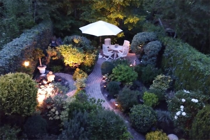 Foto 1 van IJsvogel 52