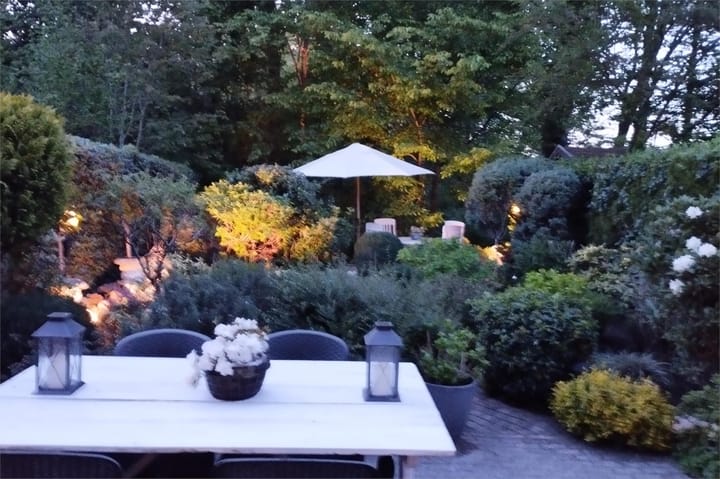 Foto 2 van IJsvogel 52