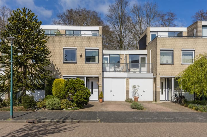 Foto 3 van IJsvogel 52