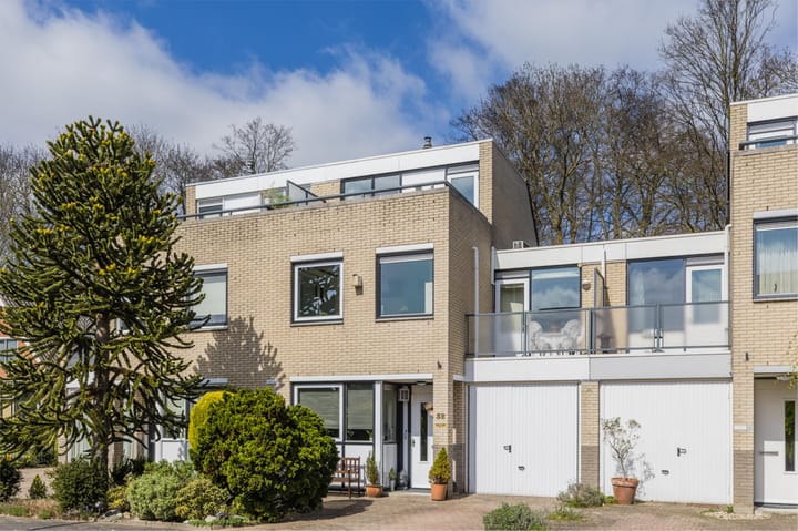 Foto 4 van IJsvogel 52