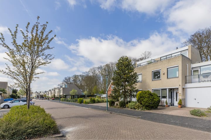 Foto 7 van IJsvogel 52