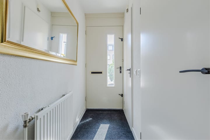 Foto 9 van IJsvogel 52