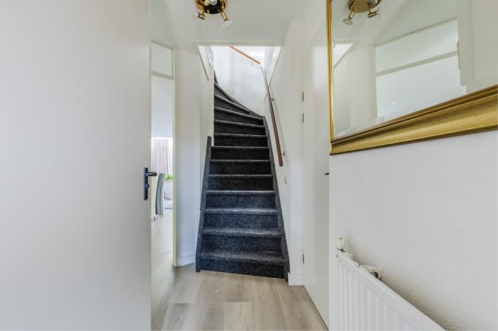 Foto 11 van IJsvogel 52