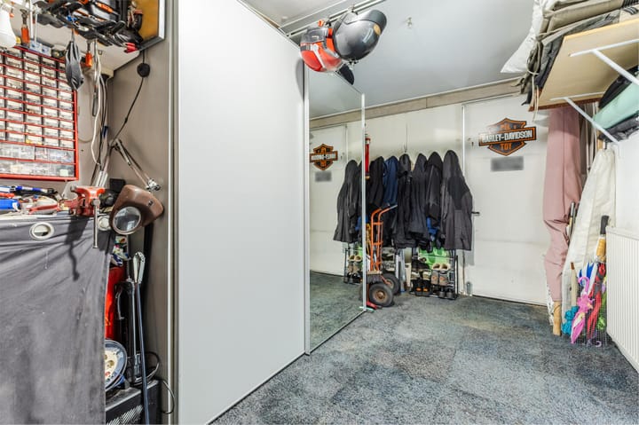 Foto 15 van IJsvogel 52