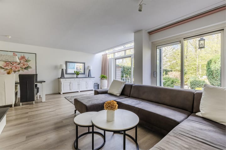 Foto 19 van IJsvogel 52