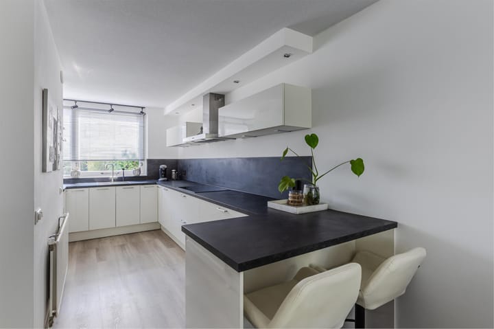 Foto 26 van IJsvogel 52