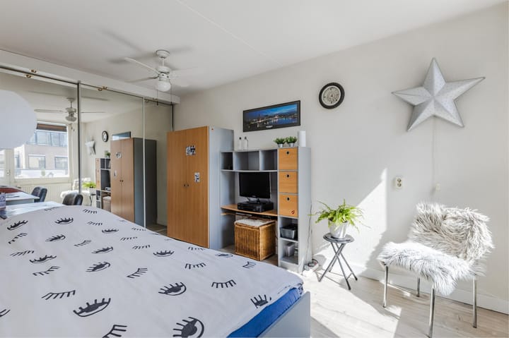 Foto 35 van IJsvogel 52