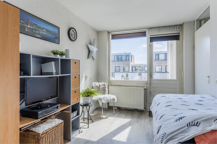 Foto 38 van IJsvogel 52