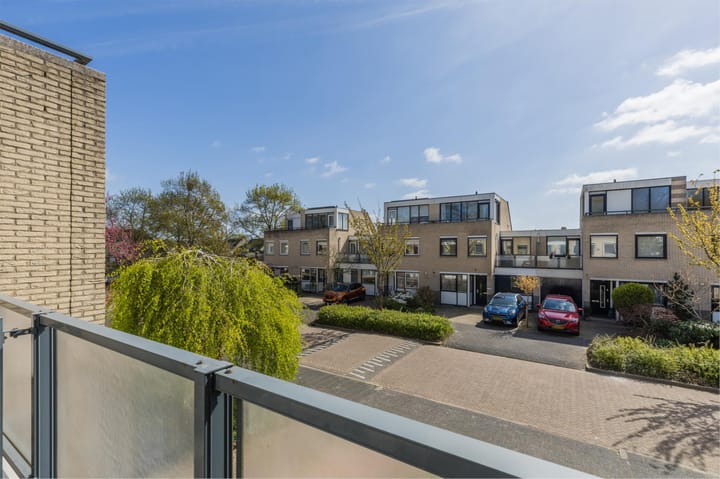 Foto 40 van IJsvogel 52