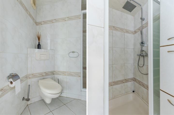 Foto 42 van IJsvogel 52