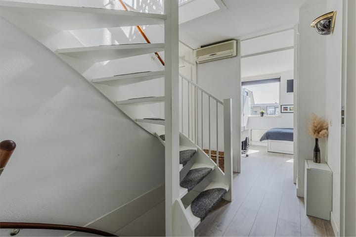 Foto 46 van IJsvogel 52