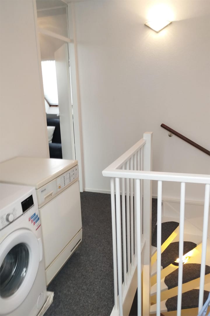 Foto 47 van IJsvogel 52