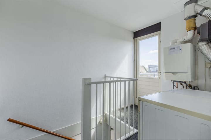 Foto 48 van IJsvogel 52