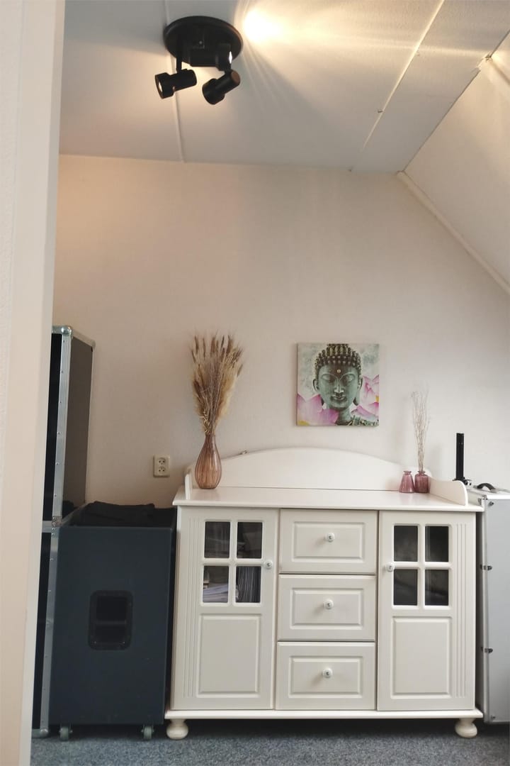 Foto 49 van IJsvogel 52