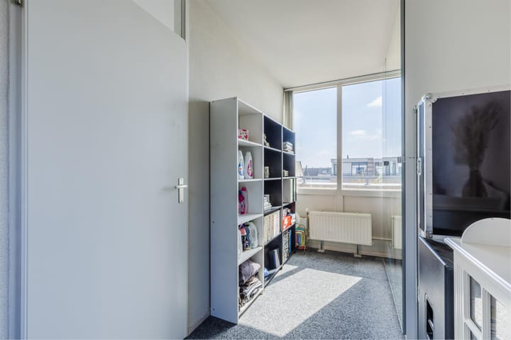 Foto 51 van IJsvogel 52